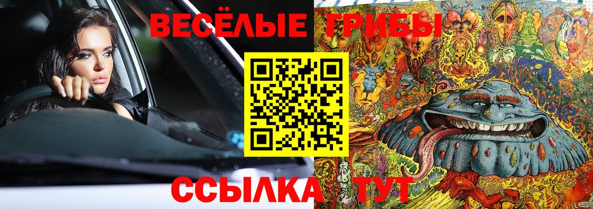 Галлюциногенные грибы Cubensis Тюмень