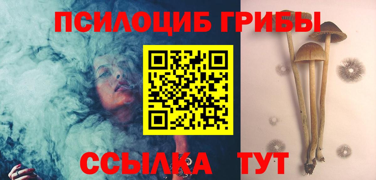 Тюмень  Галлюциногенные грибы Psilocybine cubensis  Вход с VPN 